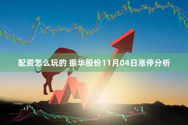 配资怎么玩的 振华股份11月04日涨停分析