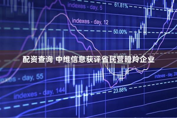 配资查询 中维信息获评省民营瞪羚企业